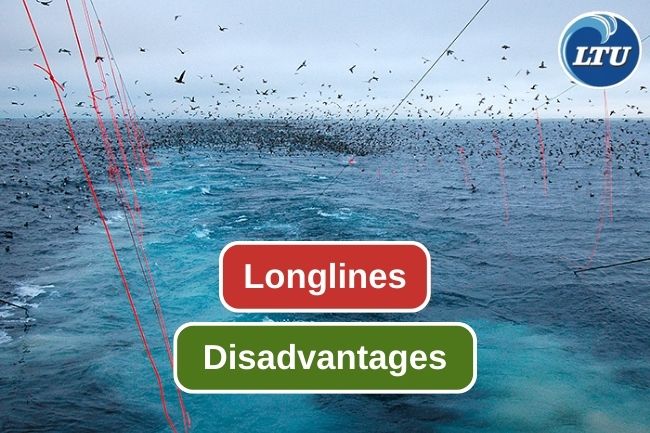5 Reason to Reconsider Using Longlines as Fishing Gear